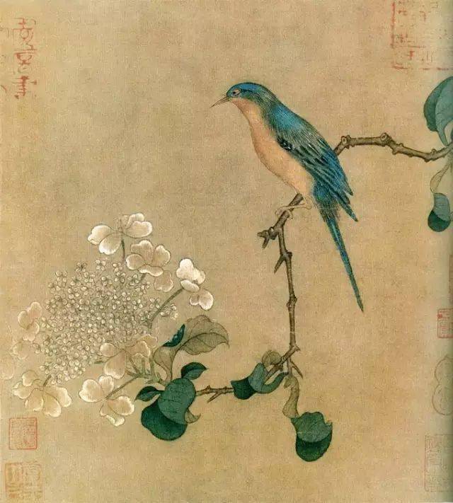 宋代花鸟画 代表人物图片