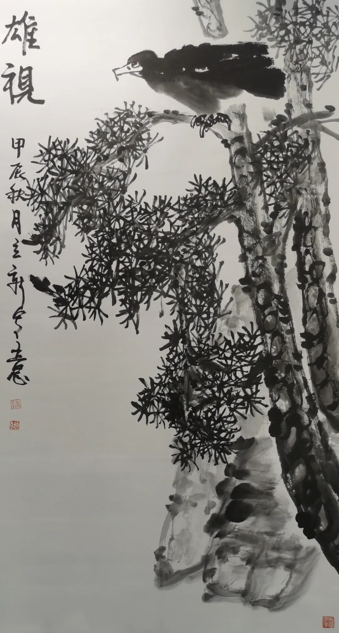 图片