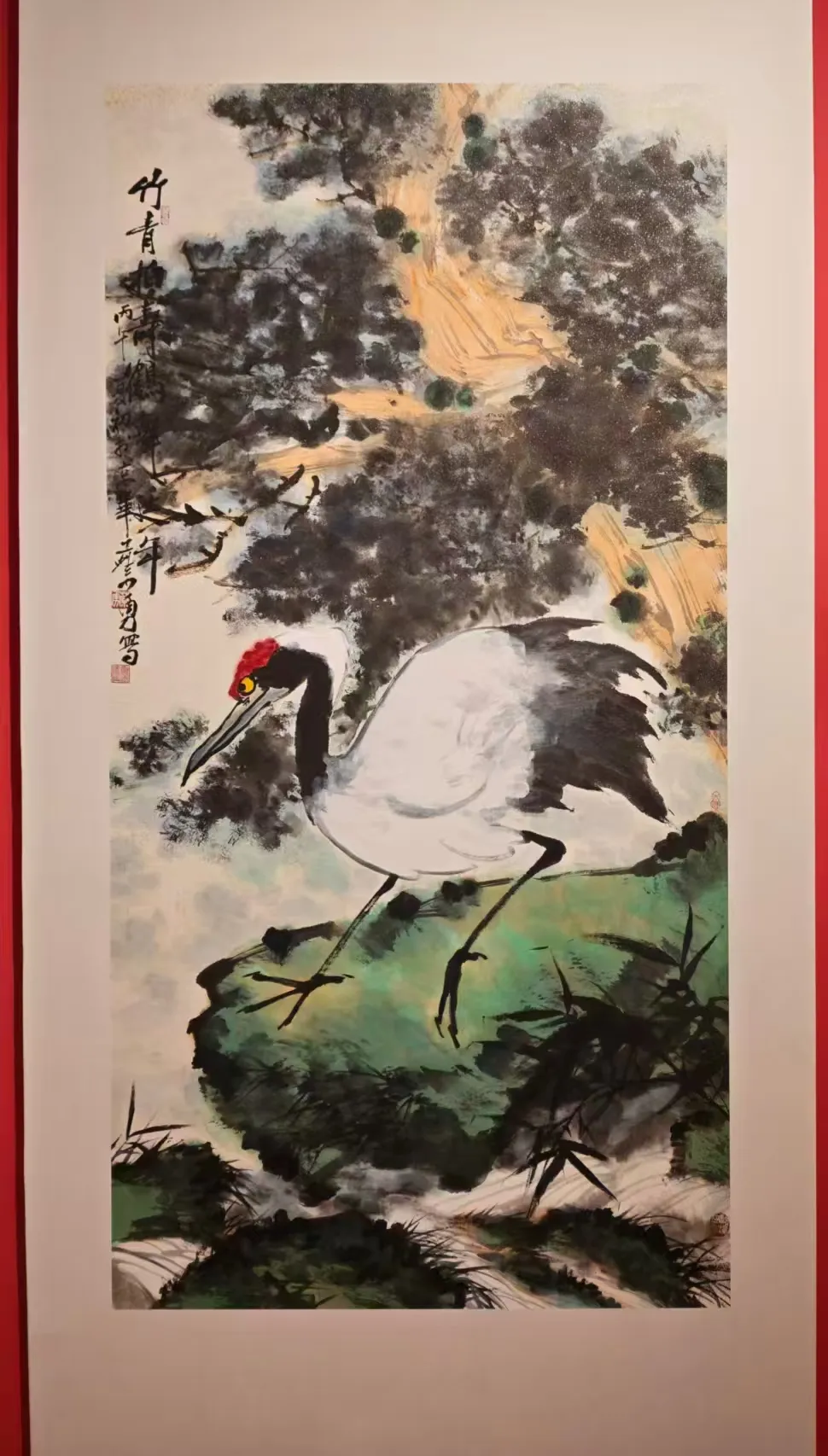 图片